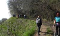 17mar2024-GOR-DEA-CUNA-37