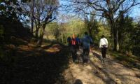 17nov2024-MASER-9