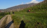 18dic2022-colline-COLBERTALDO-21