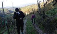 18dic2022-colline-COLBERTALDO-22