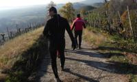 18dic2022-colline-COLBERTALDO-30