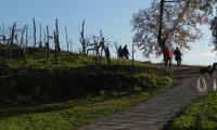 18dic2022-colline-COLBERTALDO-32
