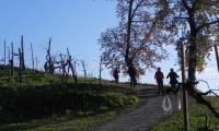 18dic2022-colline-COLBERTALDO-33