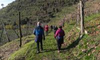 18dic2022-colline-COLBERTALDO-34