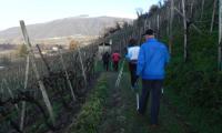 18dic2022-colline-COLBERTALDO-4