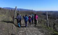 21genn2024-REFRONTOLO-25