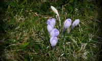 23apr2023-MONTEGRAPPA-39