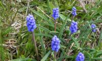 23apr2023-MONTEGRAPPA-47