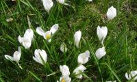 23apr2023-MONTEGRAPPA-48