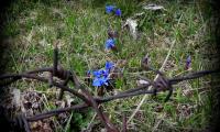 23apr2023-MONTEGRAPPA-49