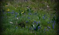 23apr2023-MONTEGRAPPA-56