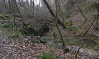 23febb2025-VAL-TRIPPERA-13