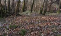 23febb2025-VAL-TRIPPERA-45