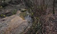 23febb2025-VAL-TRIPPERA-48