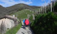 24mar2024-COLBERTALDO-11
