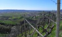 24mar2024-COLBERTALDO-21