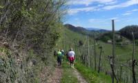 24mar2024-COLBERTALDO-22