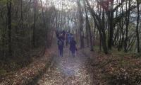 24nov2024-CSM-33