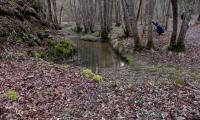 26febb2023-VAL-TRIPPERA-71