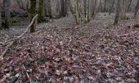 26febb2023-VAL-TRIPPERA-72