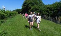 26magg2024-RUA-60