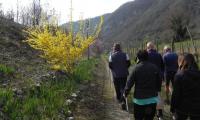 26mar2023-LIPU-PEDEROBBA-31