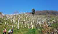 27mar2022-REFRONTOLO-83