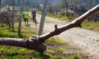 27mar2022-REFRONTOLO-86