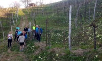 27mar2022-REFRONTOLO-89