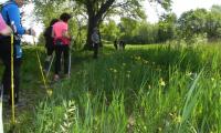 27apr2017-SORGENTI-SILE-35