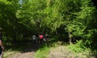 27apr2017-SORGENTI-SILE-49