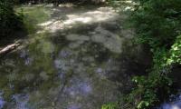27apr2017-SORGENTI-SILE-51