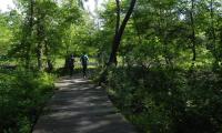 27apr2017-SORGENTI-SILE-53