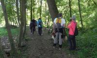 27apr2017-SORGENTI-SILE-54