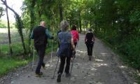27apr2017-SORGENTI-SILE-7