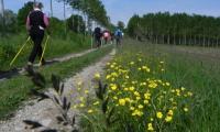 27apr2017-SORGENTI-SILE-76