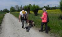 27apr2017-SORGENTI-SILE-85