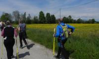 27apr2017-SORGENTI-SILE-86