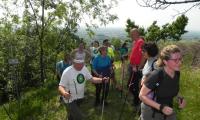 28mag2023-MAROSTICA-29