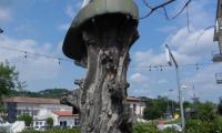 28mag2023-MAROSTICA-75