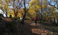 26nov2023-COMBAI-MIANE-27