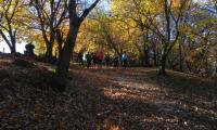 26nov2023-COMBAI-MIANE-29