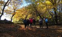 26nov2023-COMBAI-MIANE-30