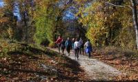 26nov2023-COMBAI-MIANE-32