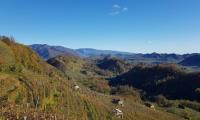 26nov2023-COMBAI-MIANE-36