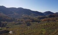26nov2023-COMBAI-MIANE-40