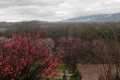 3 marzo 2024 - Bigolino
