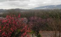 3mar2024-BIGOLINO-TRINCEE-1