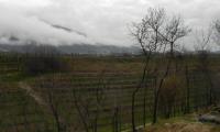3mar2024-BIGOLINO-TRINCEE-15