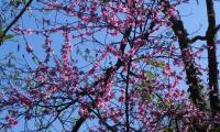 6apr2025-CISON-38